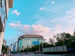 -安徽阜阳卷馍(西单店)