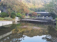 -云溪植物园