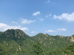 -大岭沟猕猴桃谷风景区