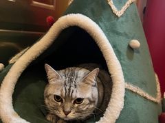 -H立方实景剧情密室(天河旗舰店)