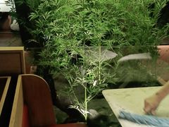 -初蓉丨遇见新川菜(亲贤街荣耀店)
