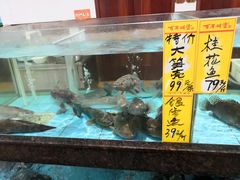 -聚家渔村·寻味顺德(大良店)