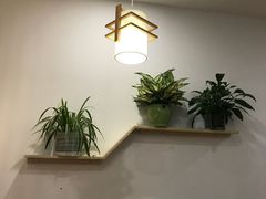 -小牛锅贴(西环路店)
