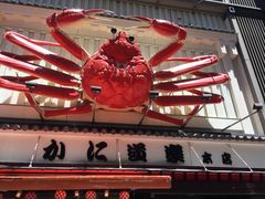 -蟹道乐(道顿堀本店)