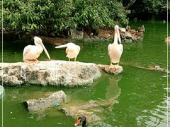 -昆明动物园