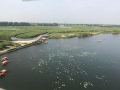 -白洋淀景区