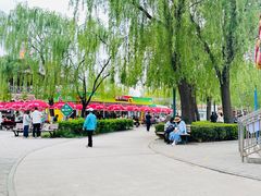 -朝阳公园游乐园