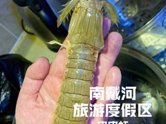 -南戴河旅游度假区