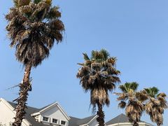 -海合安武汉极地海洋公园