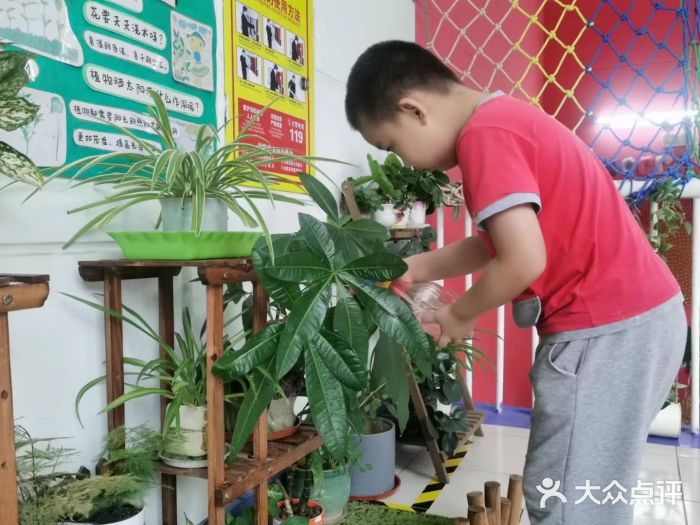 井德幼儿园(新康花园店)图片