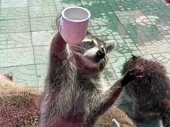 -渔岛海洋度假区