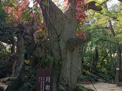 -淹城春秋乐园
