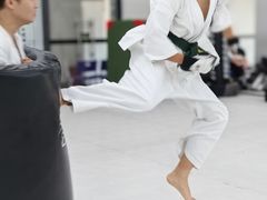 -极真空手道修远道场