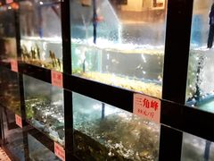水产区-院8里·少城记忆老川菜(宽窄巷子店)