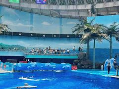 -海合安成都极地海洋公园