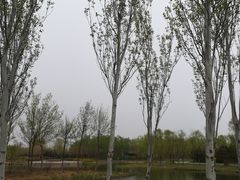 -东郊湿地公园