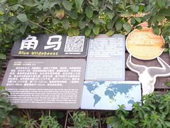 -海南热带野生动植物园