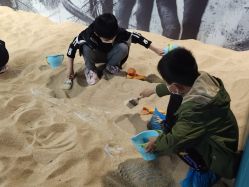 -恐龙探索乐园(磁器口店)