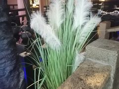 -绿茶餐厅(松江万达店)