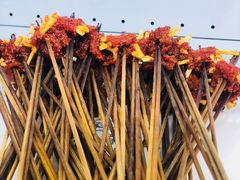 -镇江龙·火锅串串(武侯祠店)