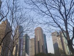 -陆家嘴中心绿地