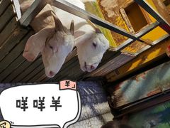-上海大自然野生昆虫馆(东方明珠·爬宠昆虫探索中心)