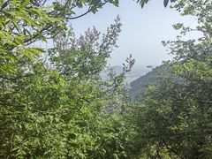 -敬亭山风景名胜区