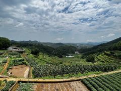 -乌石村