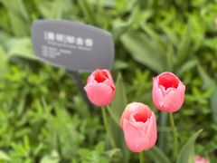 -国家植物园南园