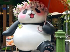 -轩客会(熊猫书店)