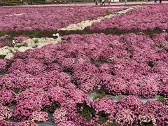 -中国天府农业博览园