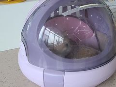-谐和贝康宠物医院24小时·宠保定点(急重症转诊中心)