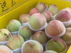 -老袁家蜜桃农场·阳山水蜜桃