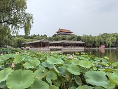 -大明幻境第一城
