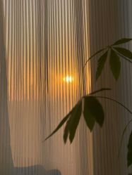 -JNK皮肤管理中心