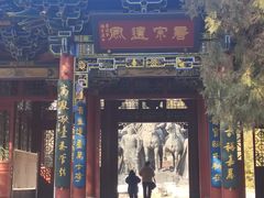 -晋祠公园