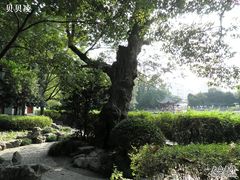 -汇龙潭