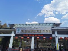 -中国科学院西双版纳热带植物园