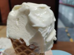 -野人先生现做冰淇淋(北京顺义祥云小镇店)