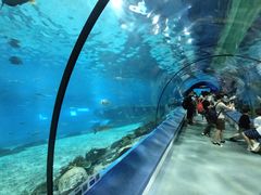 -福州罗源湾海洋世界旅游区