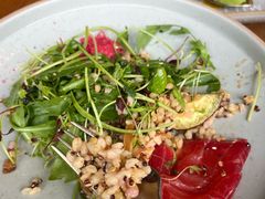 -O'mills Sourdough Bakery&Bistro(永嘉路店)