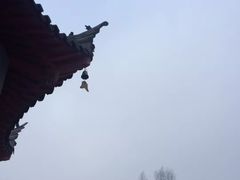 -哈尔滨极乐寺