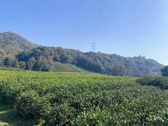 -西湖风景区十里琅珰-五云山