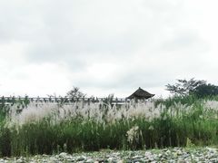 -海窝子古镇