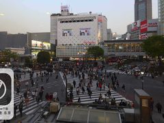 -涩谷区