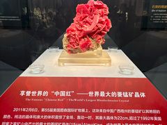 -湖南省地质博物馆