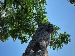 -西安碑林博物馆