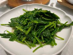 清炒豌豆尖-京味斋·烤鸭·北京菜(安贞店)