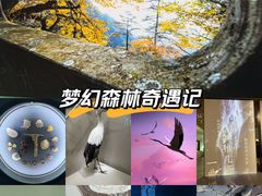 -中国湿地博物馆
