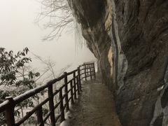 -鹿院坪生态旅游景区